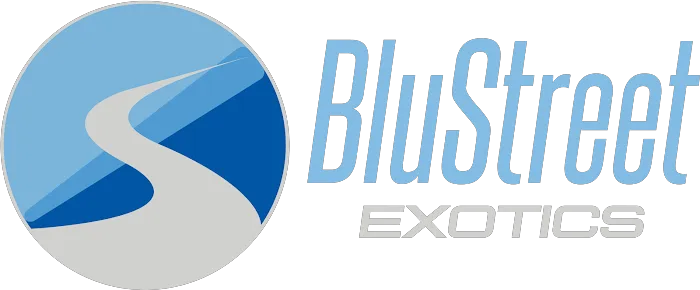 BluStreet Exotic Car Rentals Hamptons Picture 8