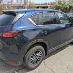 Avis Car Rental