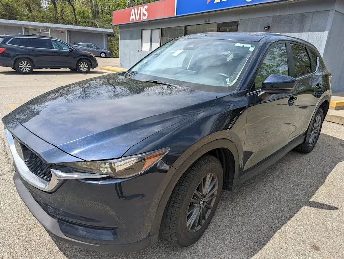Avis Car Rental Picture 4