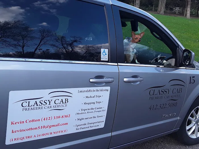 Classi Cab Wheelchair Transportation SERVICES Picture 8