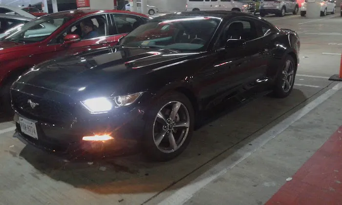 Avis Car Rental Picture 2