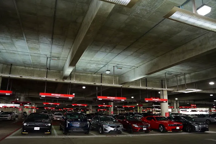 Budget Car Rental Picture 3
