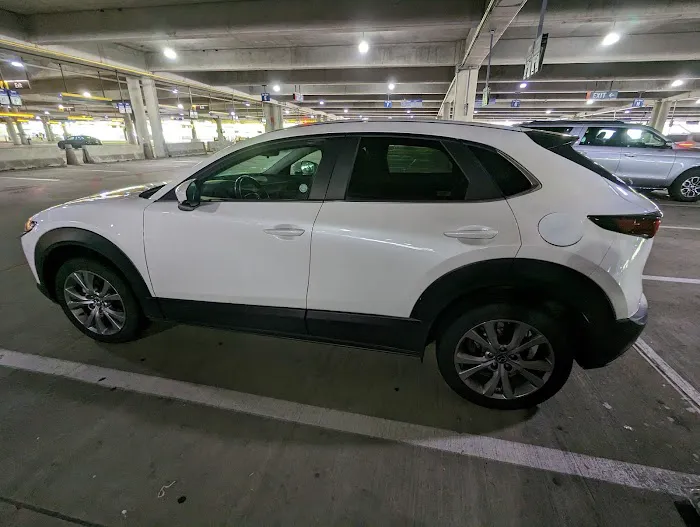 Budget Car Rental Picture 7