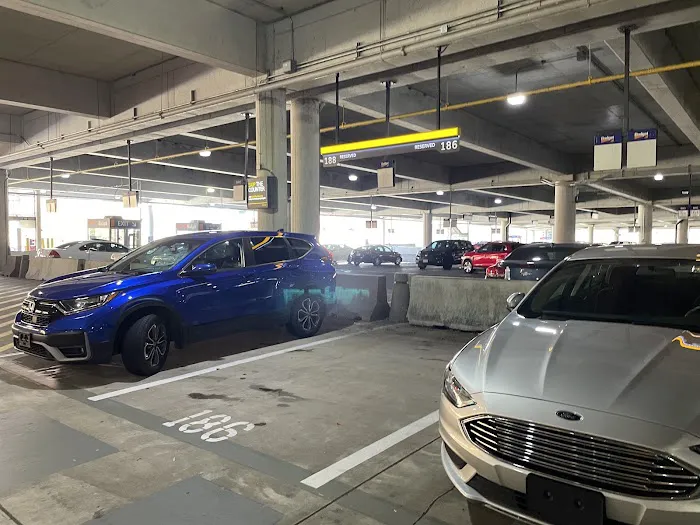 Dollar Car Rental - Baltimore International Airport Picture 3