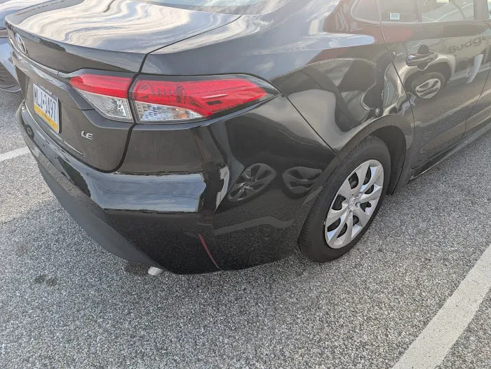 Budget Car Rental Picture 4