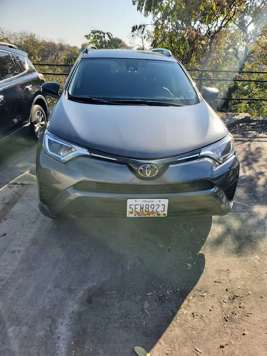 JOOLIE CAR RENTALS Picture 1