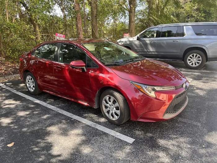 Avis Car Rental Picture 8