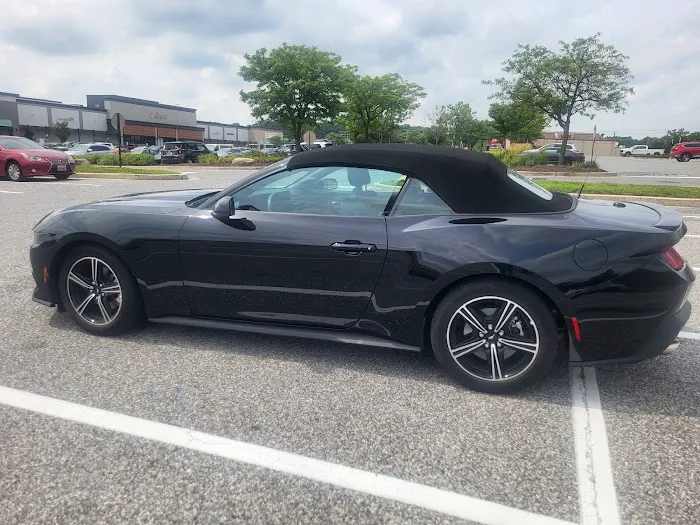 Alamo Rent A Car Picture 8