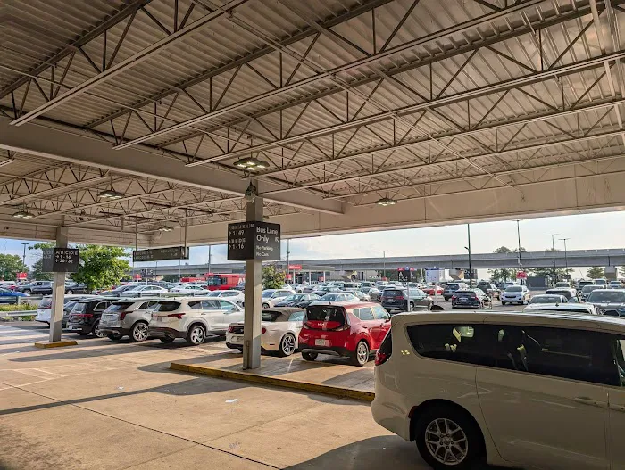 Budget Car Rental Picture 9