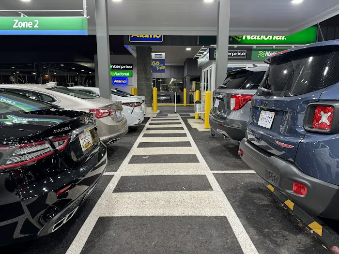 Alamo Rent A Car Picture 4