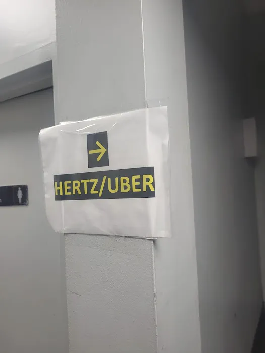 Hertz Picture 10