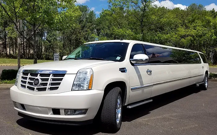 Safari Car Rental Picture 1