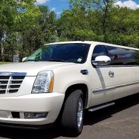 Safari Car Rental ico