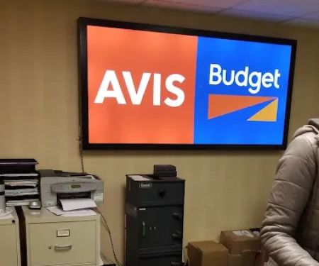 Avis Car Rental