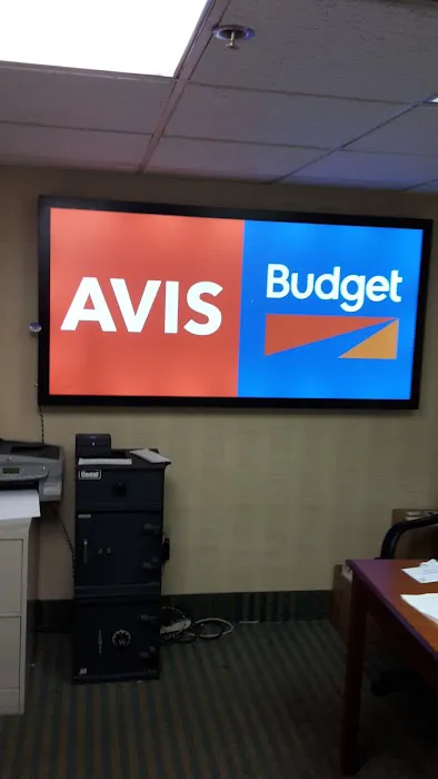 Budget Car Rental Picture 1