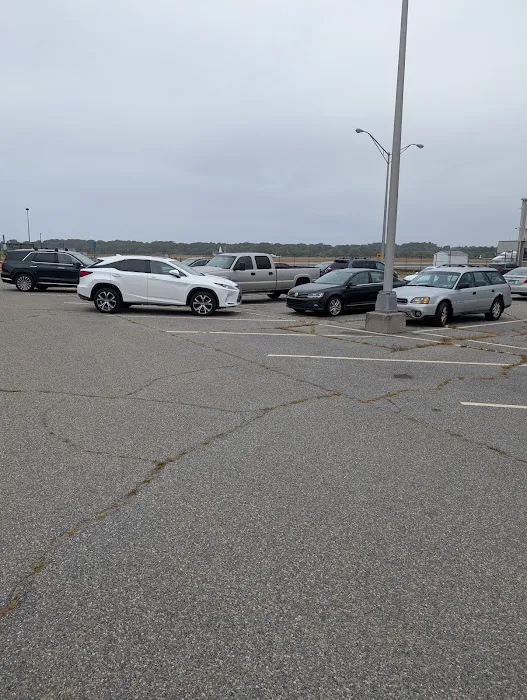 Avis Car Rental Picture 5