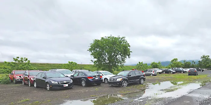 Weimer Rent a Car Picture 1