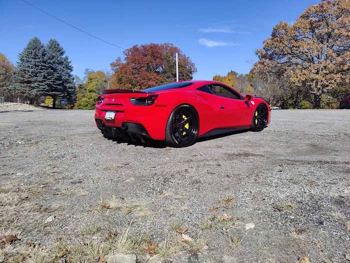 LW Exotic Rentals Picture 3