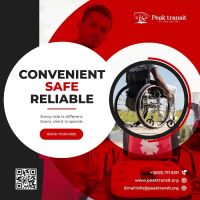 Peak Transit ico