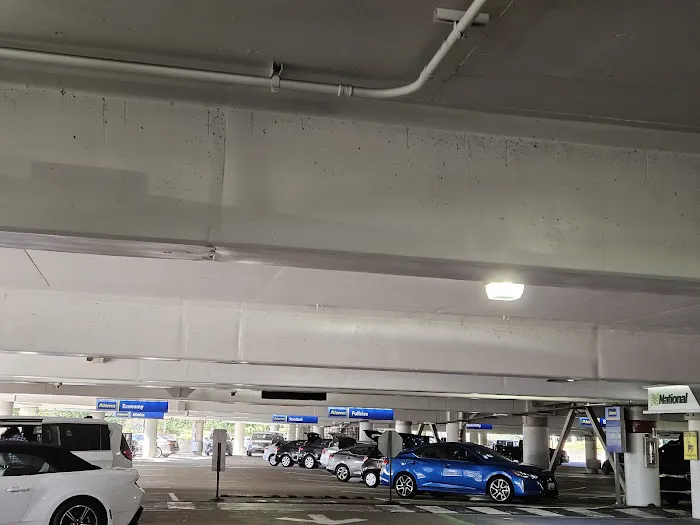 Alamo Rent A Car Picture 10