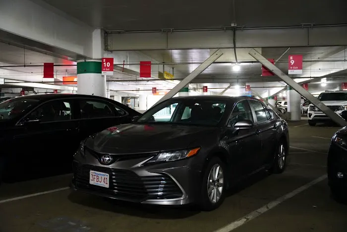 Budget Car Rental Picture 2