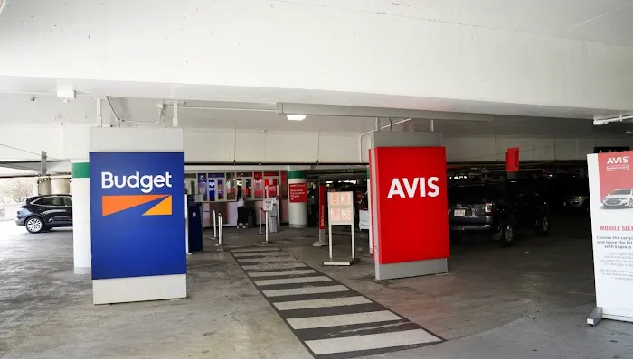 Budget Car Rental Picture 8