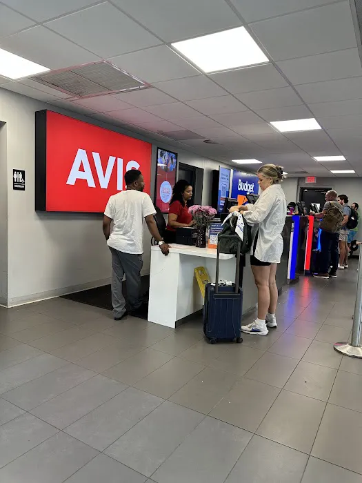 Avis Car Rental Picture 1