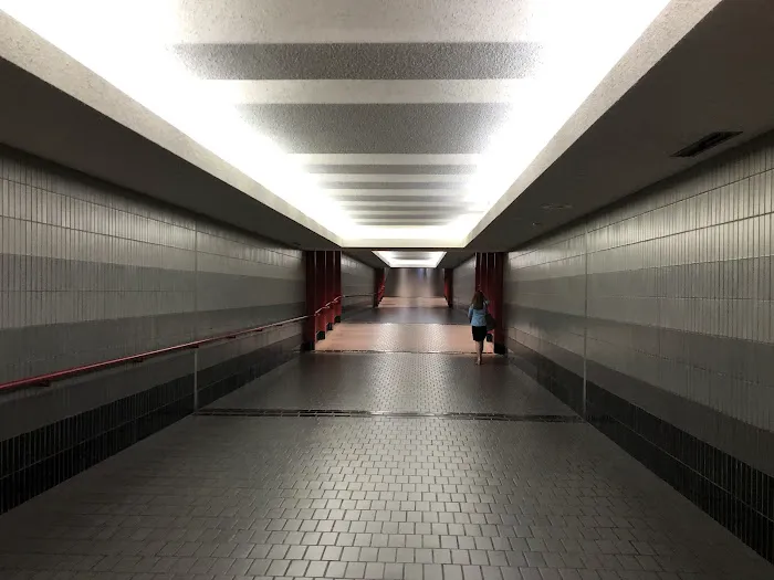 Hertz Car Rental - Arlington - Crystal Gateway Marriott Picture 3