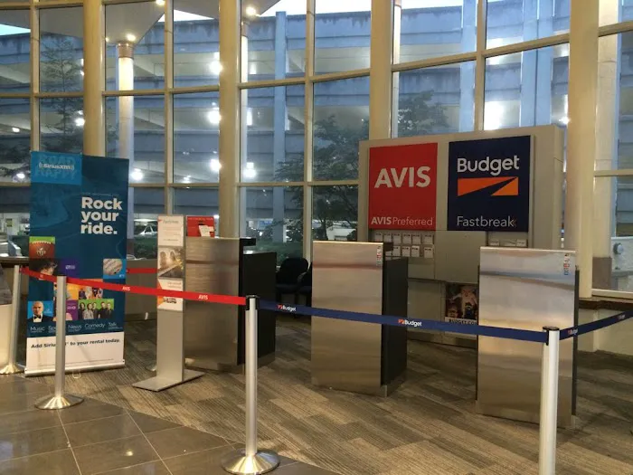 Avis Car Rental Picture 8
