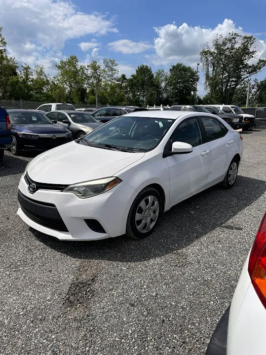 King G Car Rental Picture 10