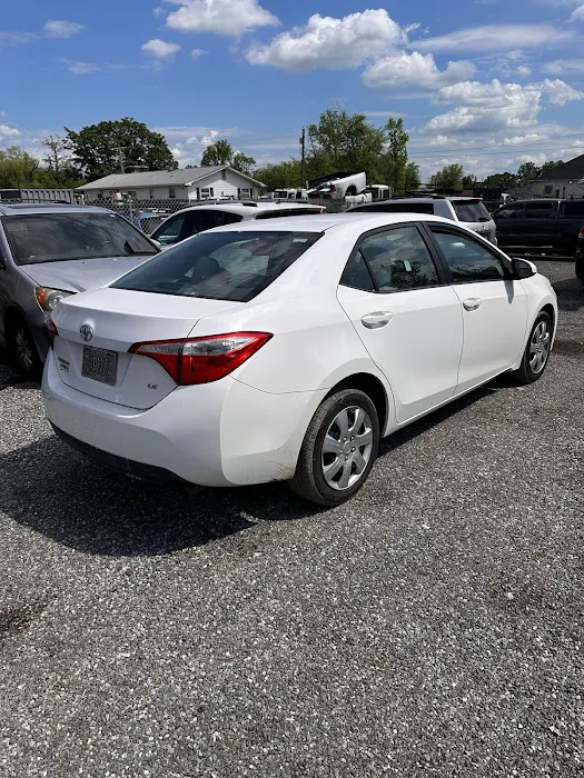 King G Car Rental Picture 3