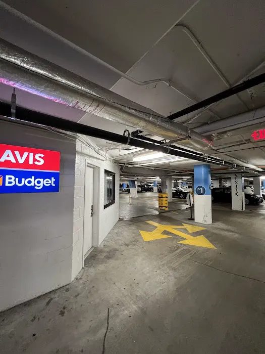 Avis Car Rental Picture 7