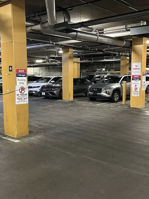 Budget Car Rental Picture 1