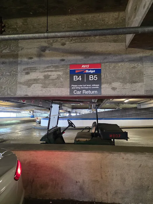 Budget Car Rental Picture 5