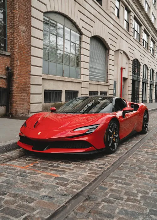 STREET EXOTICS Picture 6