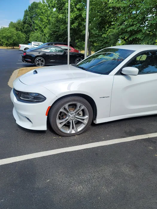 Avis Car Rental Picture 2