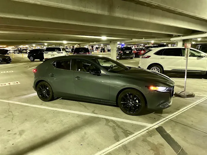 Avis Car Rental Picture 2
