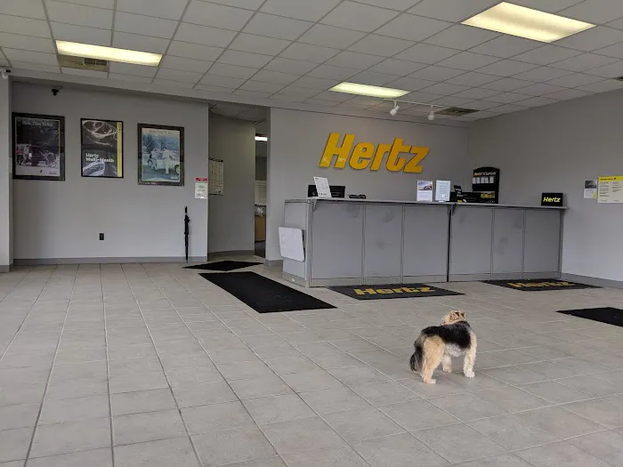 Hertz Car Rental - Warren - Youngstown Warren Road Picture 2