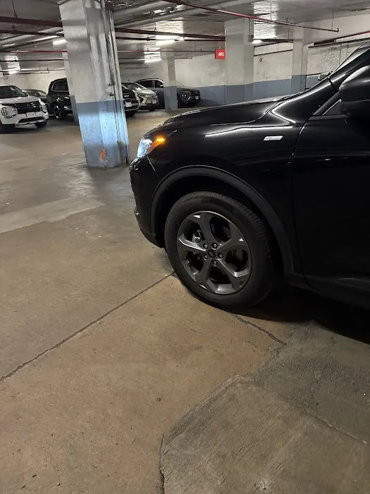 Avis Car Rental Picture 4