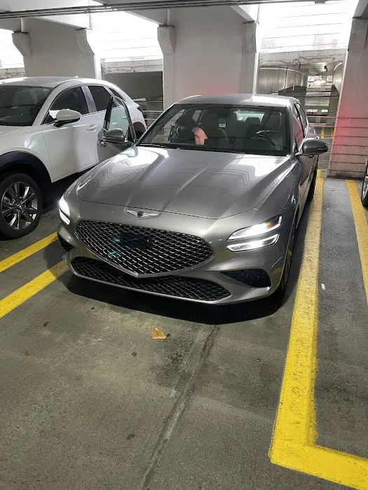 Avis Car Rental Picture 8