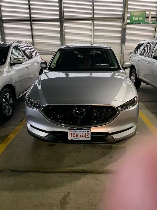 Alamo Rent A Car Picture 2