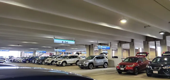 Alamo Rent A Car Picture 1