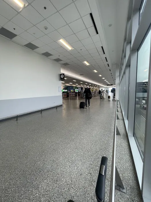 Dollar Car Rental Picture 10