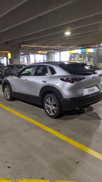 Dollar Car Rental Picture 4