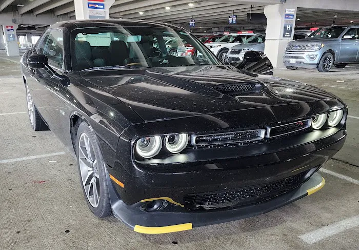 Budget Car Rental Picture 4