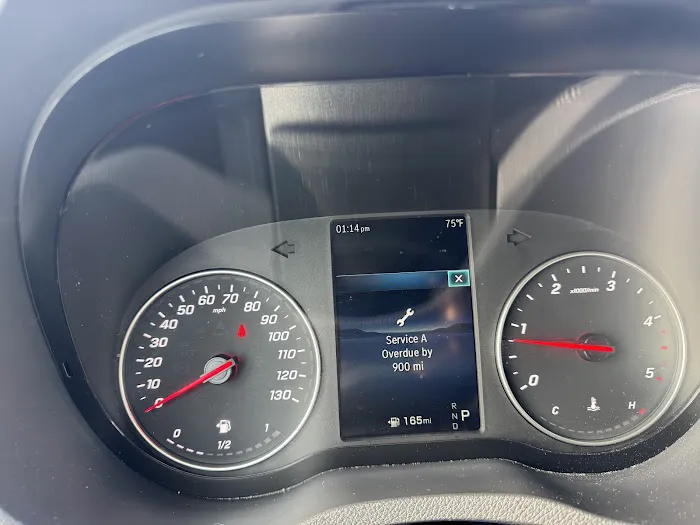 Alamo Rent A Car Picture 5