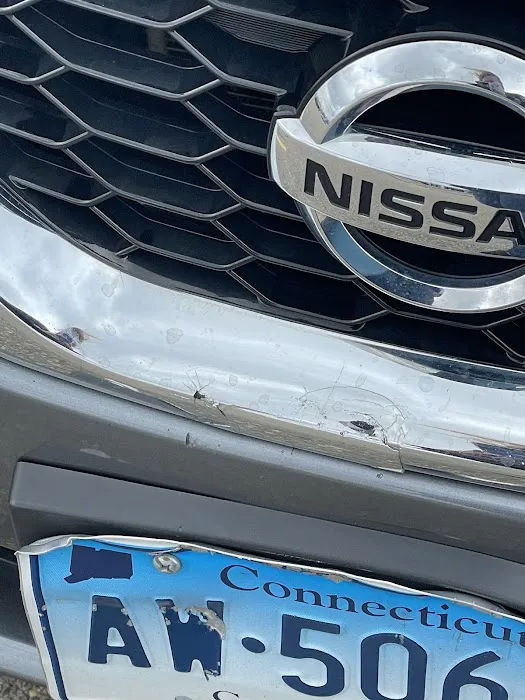 Alamo Rent A Car Picture 4