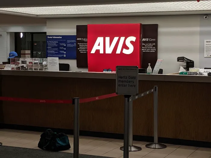 Avis Car Rental Picture 3