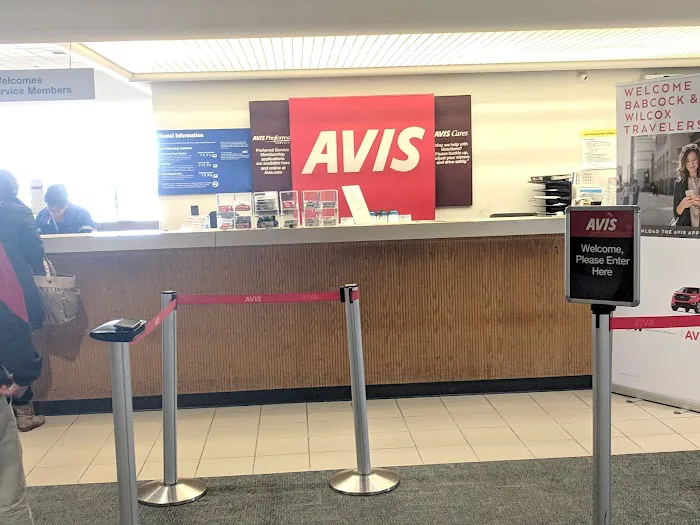 Avis Car Rental Picture 4