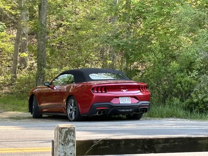 Budget Car Rental Picture 8